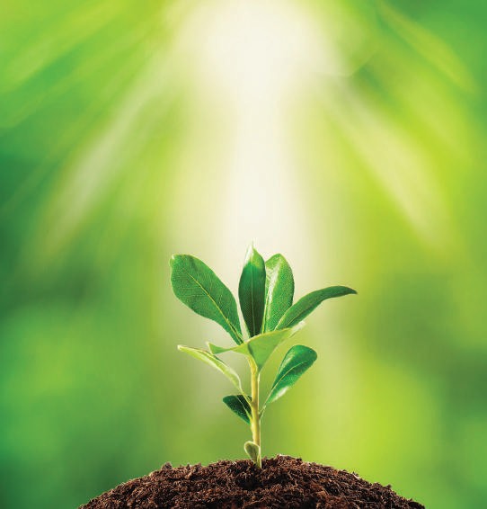 Solar Power Green Energy Initiative at Advance Forgings